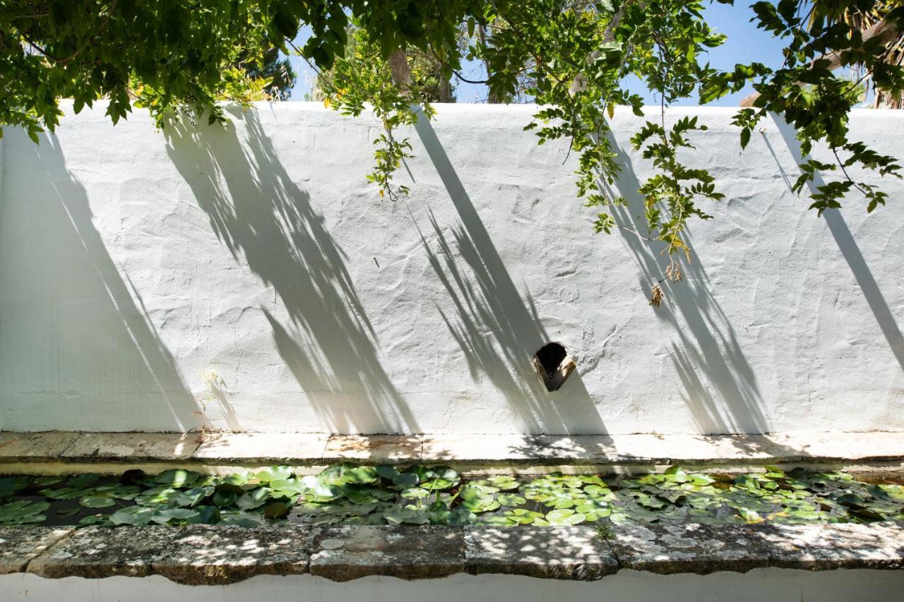 Altanure Quinta Sol D'Agua - Ecological Holiday Villa Tavira Eksteriør billede